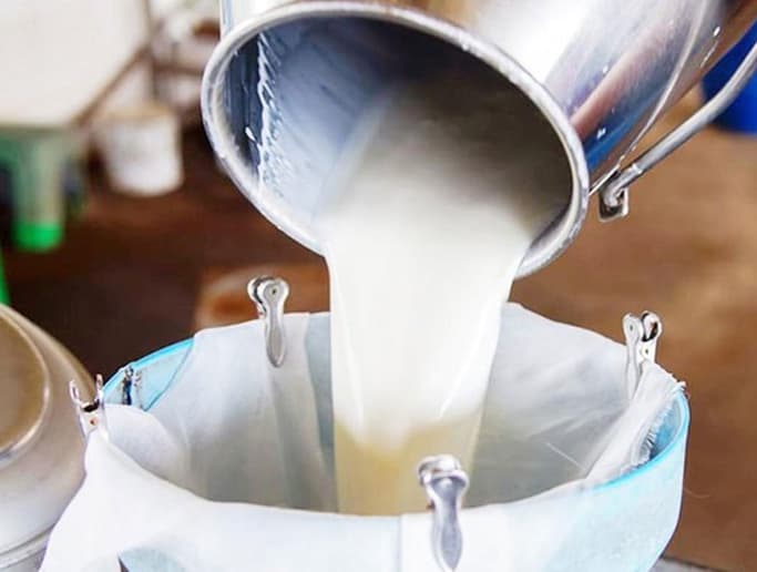 Çiğ Süt Desteklemesi